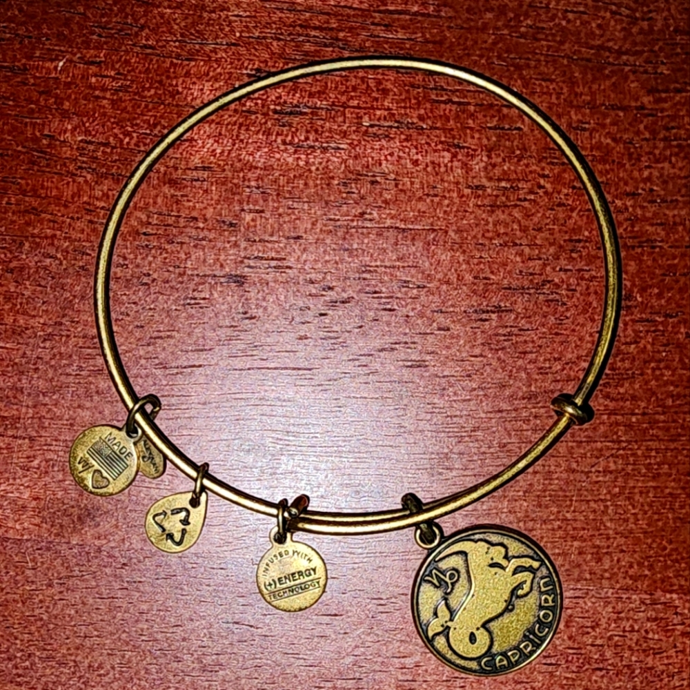 ALEX AND ANI Vintage Capricorn Brass Adjustable Band Bracelet